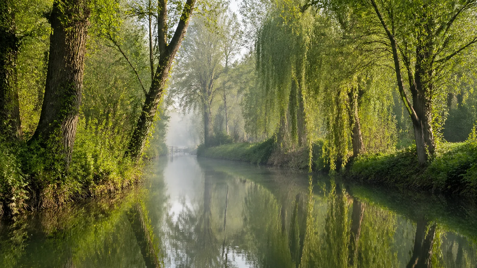 Paysage du Marais Poitevin avec canal et végétation typique